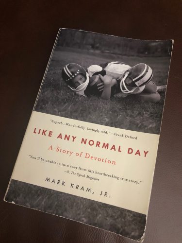 Like Any Normal Day Book